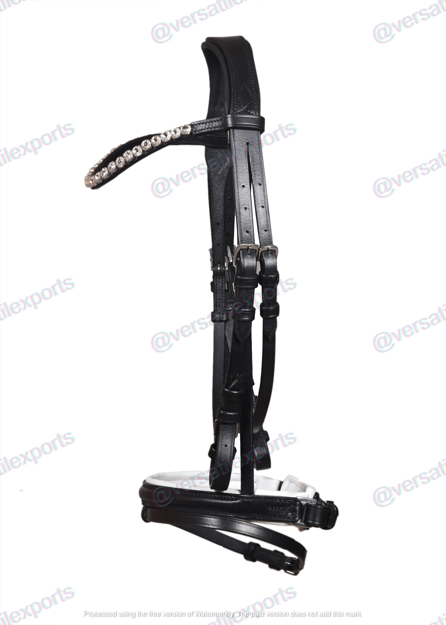 Bridle with White Padding